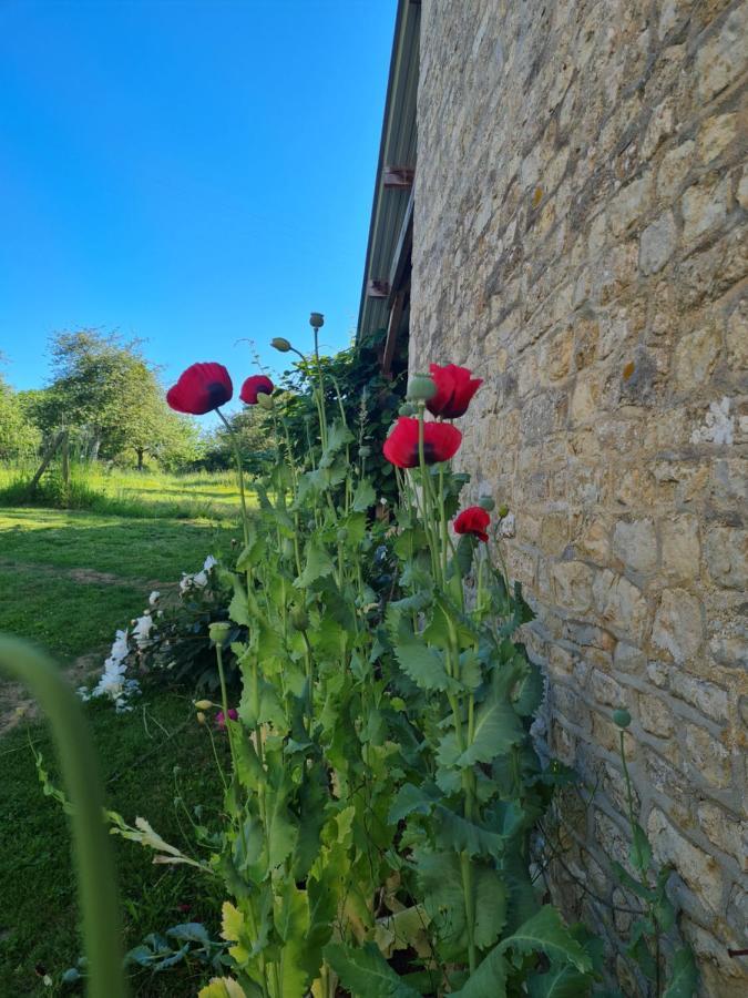 Domaine De La Cour Vautier Bed and Breakfast Mandeville-en-Bessin Buitenkant foto