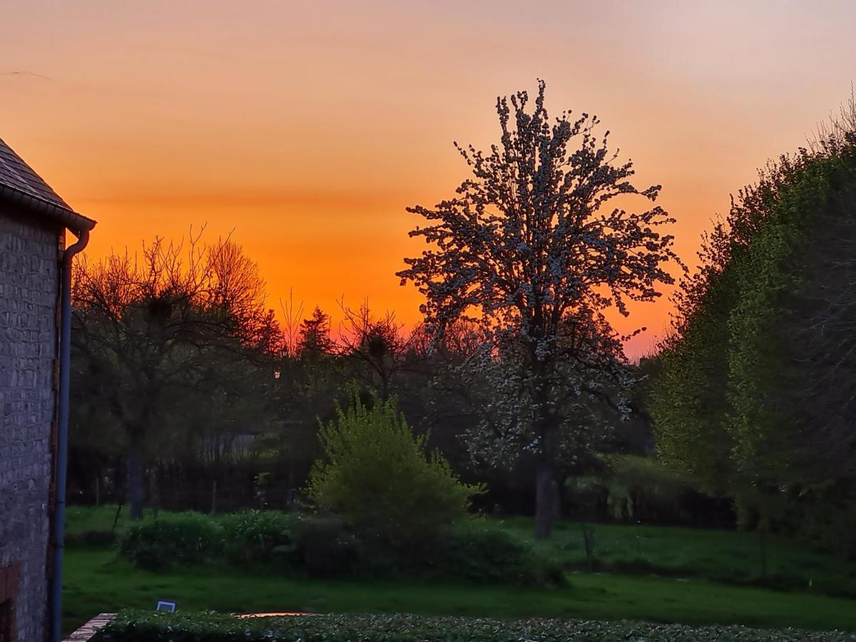 Domaine De La Cour Vautier Bed and Breakfast Mandeville-en-Bessin Buitenkant foto