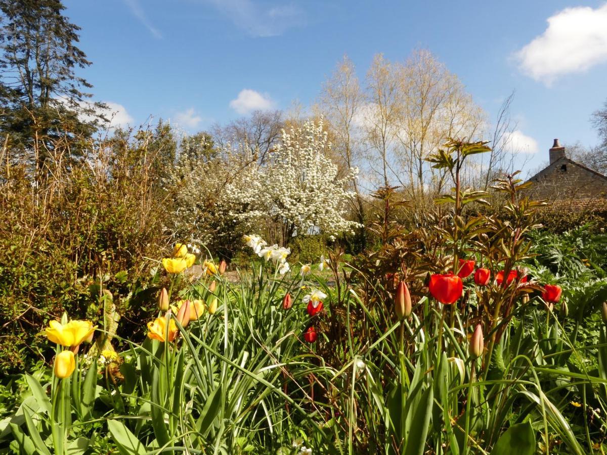 Domaine De La Cour Vautier Bed and Breakfast Mandeville-en-Bessin Buitenkant foto