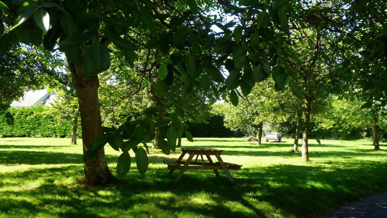 Domaine De La Cour Vautier Bed and Breakfast Mandeville-en-Bessin Buitenkant foto